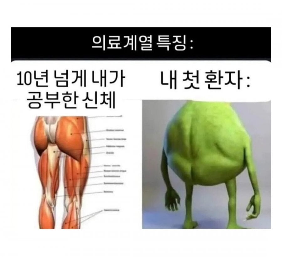 의학책은 진짜 이상적인 신체구나 | 인스티즈