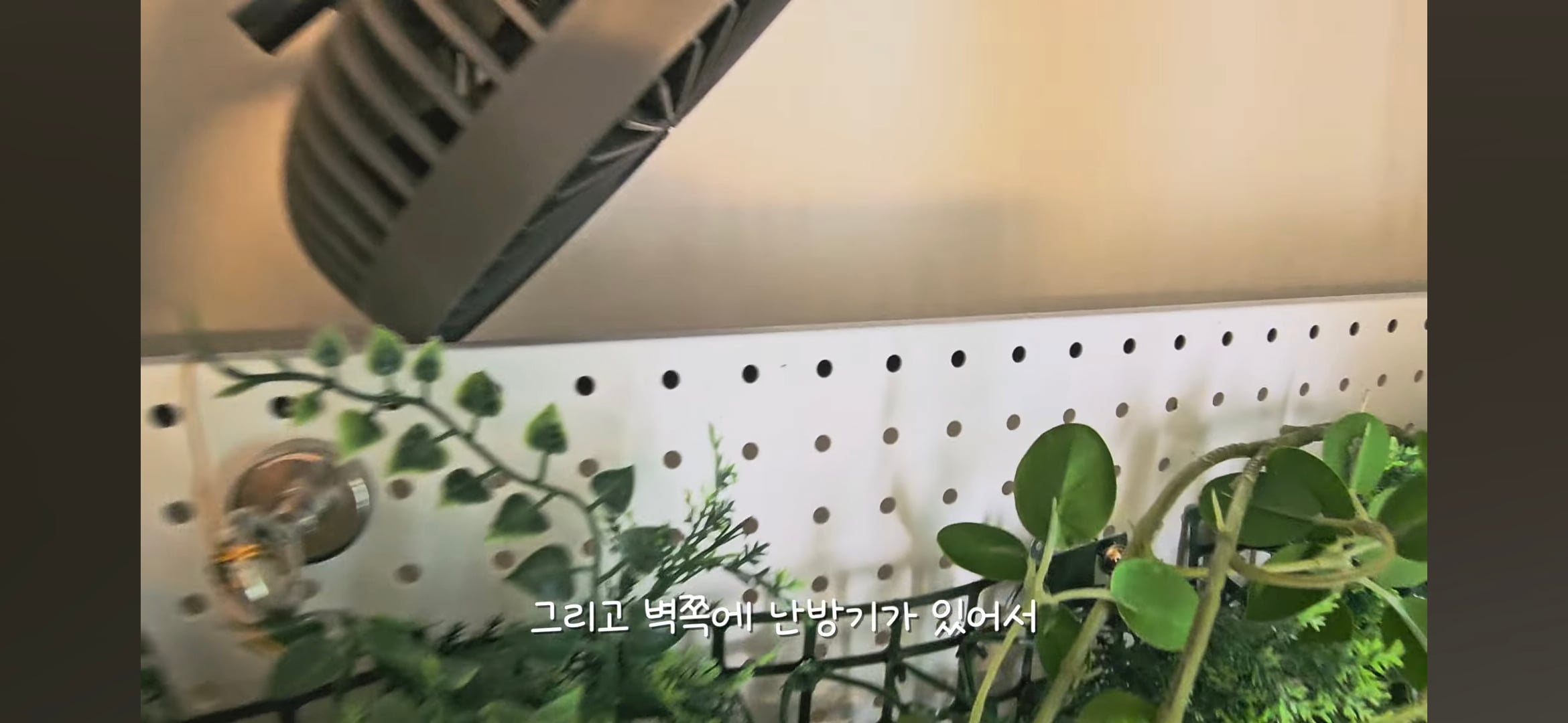 다이소로 만든 연못 정원🌿 관리 (+🐦🦜) | 인스티즈