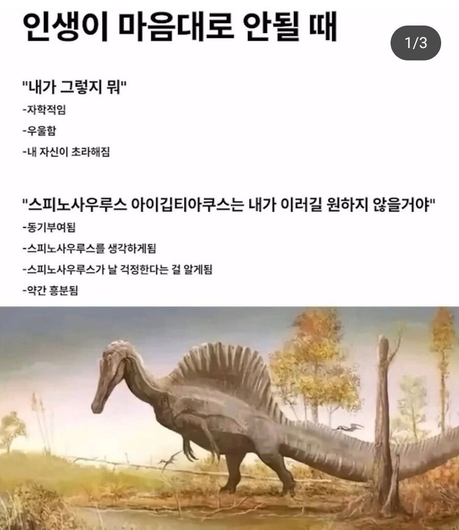 인생이 마음대로 안될 때 해야하는 것 | 인스티즈