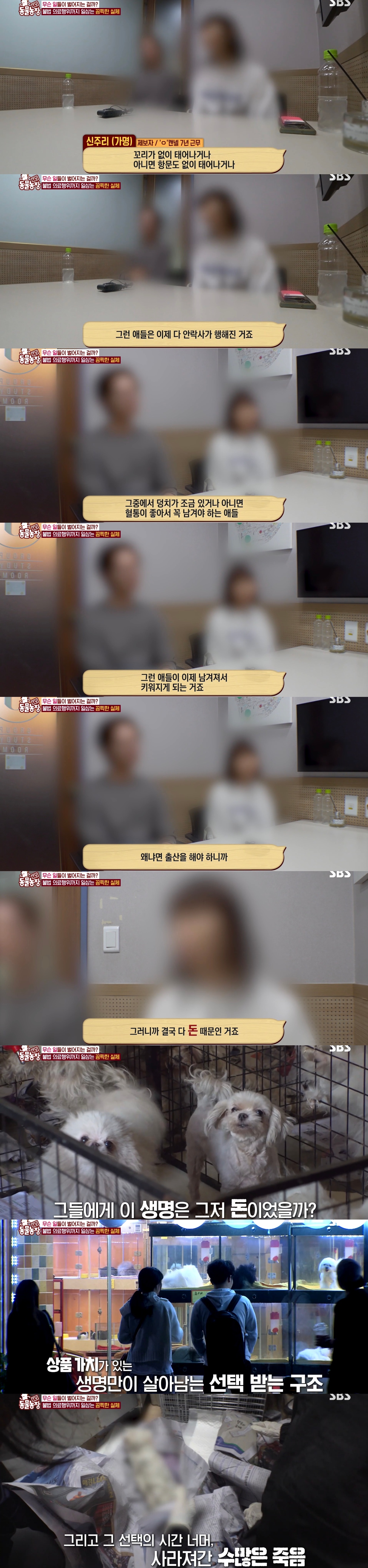 충격이다 못해 기괴한 오늘자 동물농장 폭로 방송 (충격주의).jpg | 인스티즈