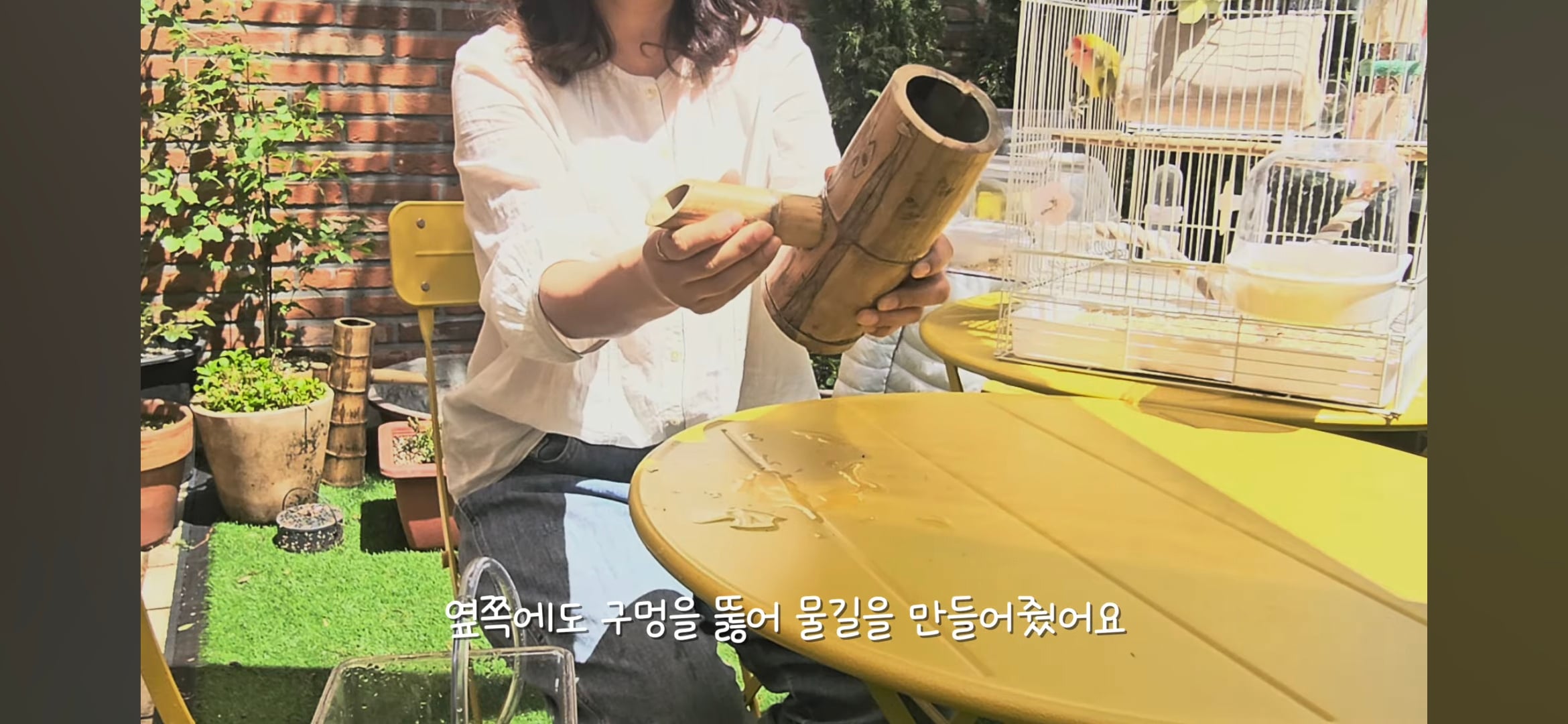 다이소로 만든 연못 정원🌿 관리 (+🐦🦜) | 인스티즈