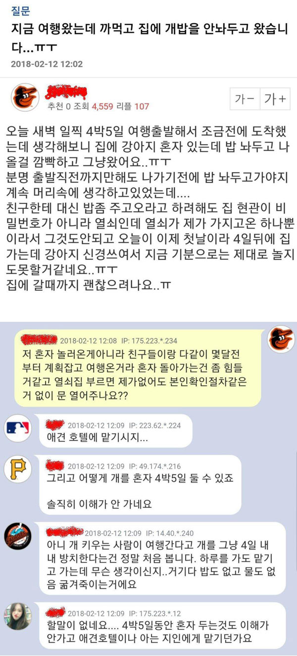 욕먹은 견주 | 인스티즈