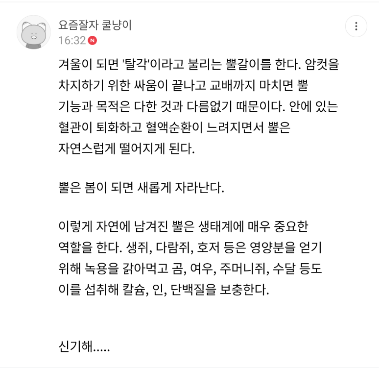 뿔갈이 하는 모습이 포착된 사슴 | 인스티즈
