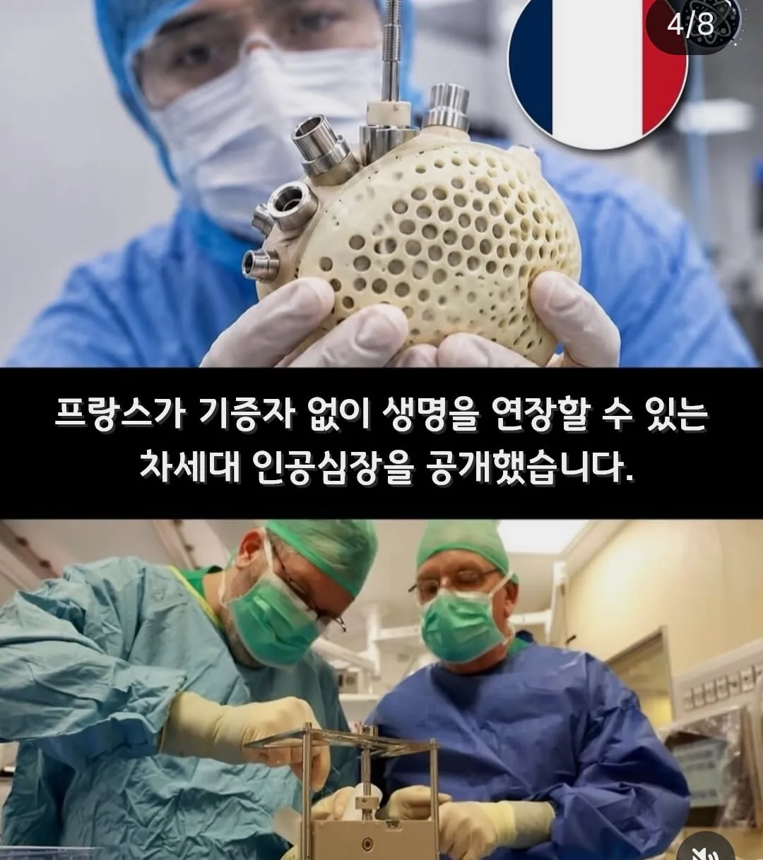 뉴스에는 안 나오는 세계의 희망적인 소식들 | 인스티즈