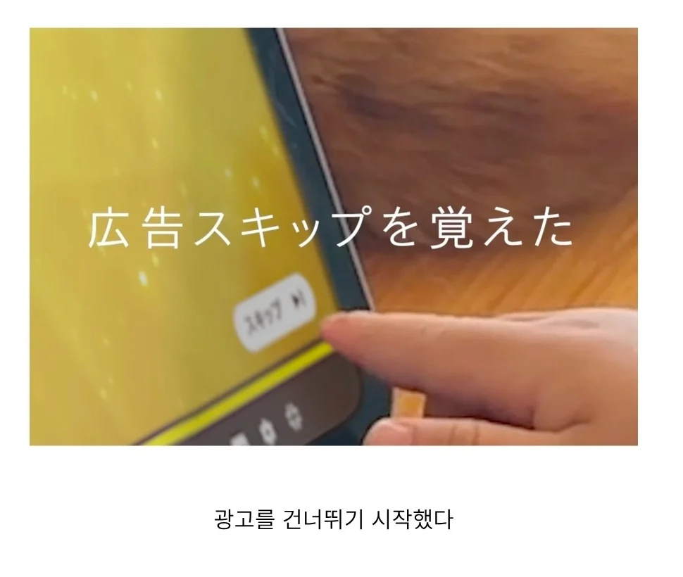 후쿠오카 올해의 광고 | 인스티즈
