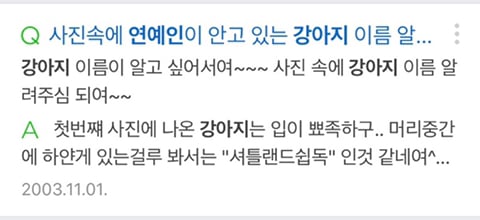 연예인 영업중에 제일 꼴보기 싫고 반감드는거.jpg | 인스티즈
