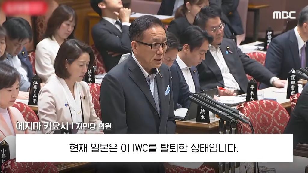 본인 나라의 여성 총리에게 대정부 질문 자리에서 생선 요리 할 줄 아냐고 물어보는 일본 | 인스티즈