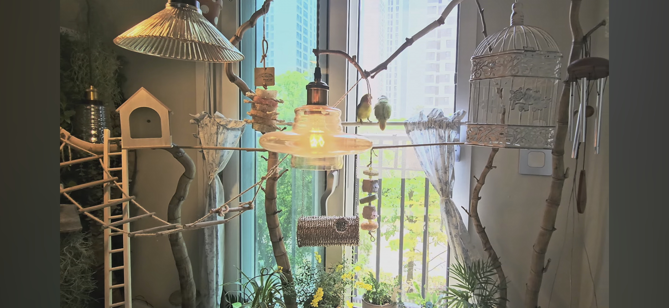 다이소로 만든 연못 정원🌿 관리 (+🐦🦜) | 인스티즈