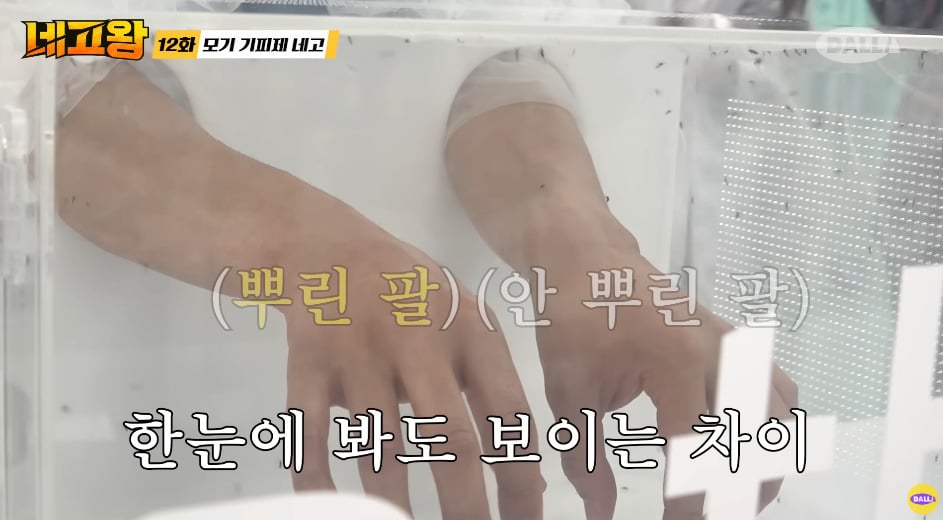 얼마를 받는지 궁금한 제품 체험 알바(약혐주의) | 인스티즈