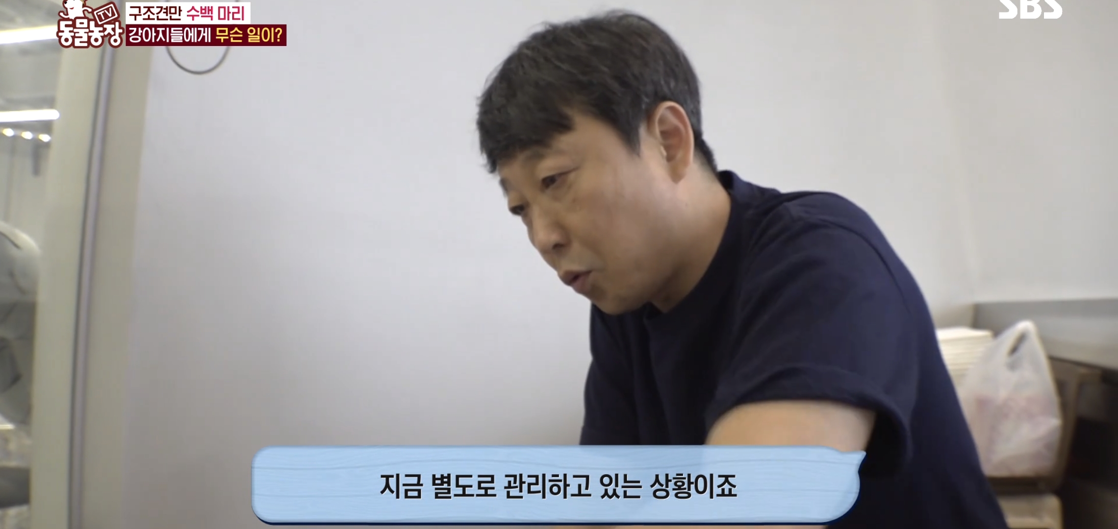 충격이다 못해 기괴한 오늘자 동물농장 폭로 방송 (충격주의).jpg | 인스티즈