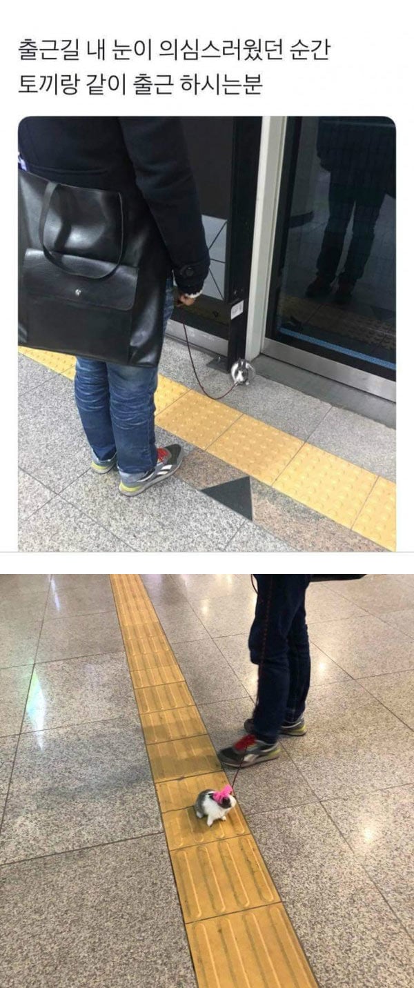 내 눈을 의심한 출근길 | 인스티즈