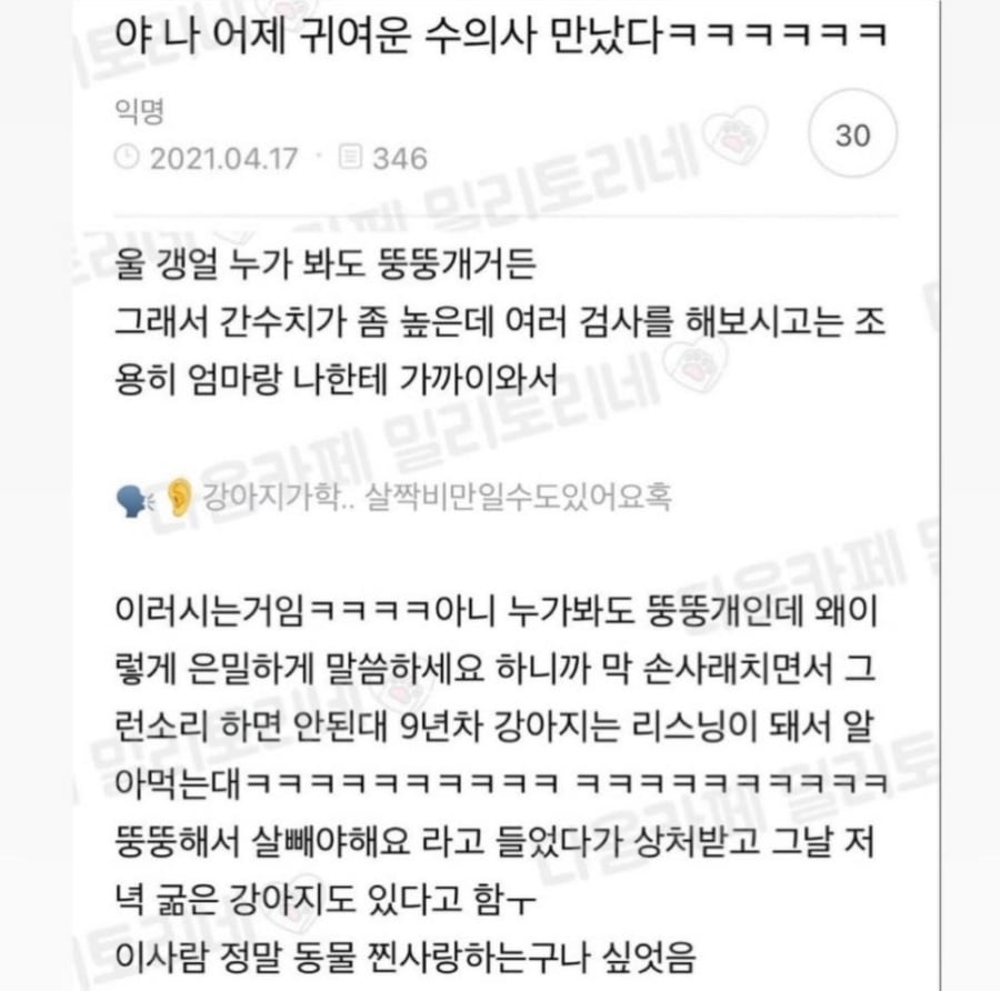 야 나 어제 귀여운 수의사 만났다ㅋㅋㅋㅋㅋㅋ | 인스티즈