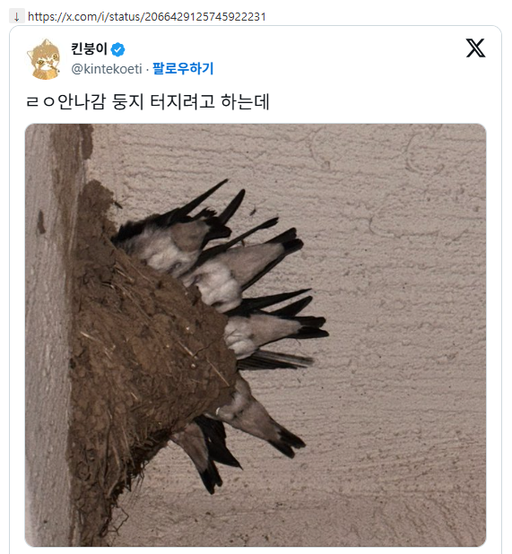 양심없는 쉬었음 제비들 | 인스티즈