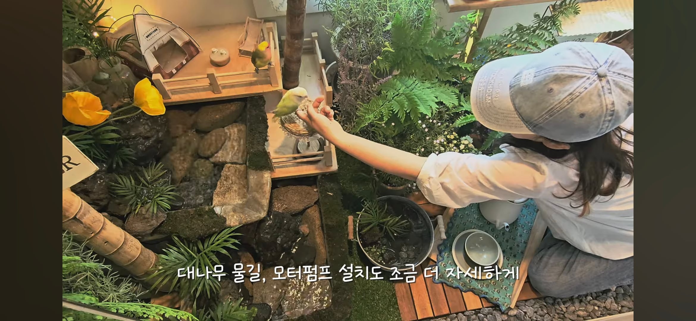 다이소로 만든 연못 정원🌿 관리 (+🐦🦜) | 인스티즈