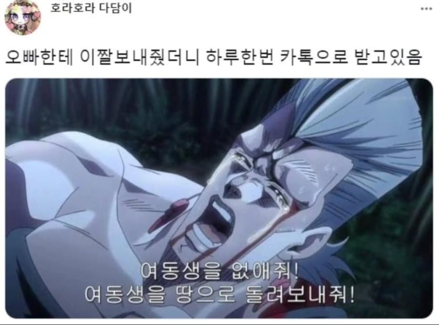 오빠한테 장난으로 짤 보내줬는데 | 인스티즈