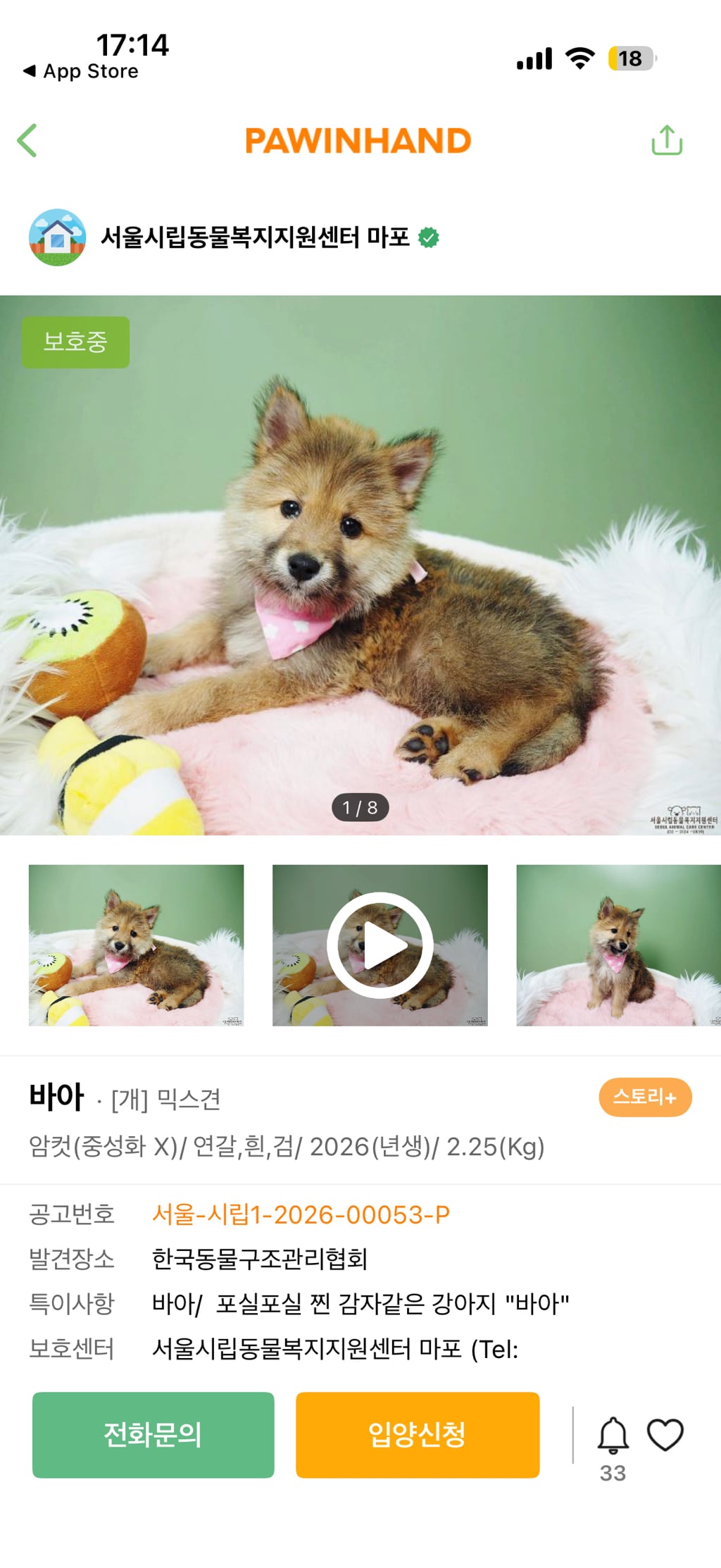 포인핸드 보는데 눈물난다 | 인스티즈