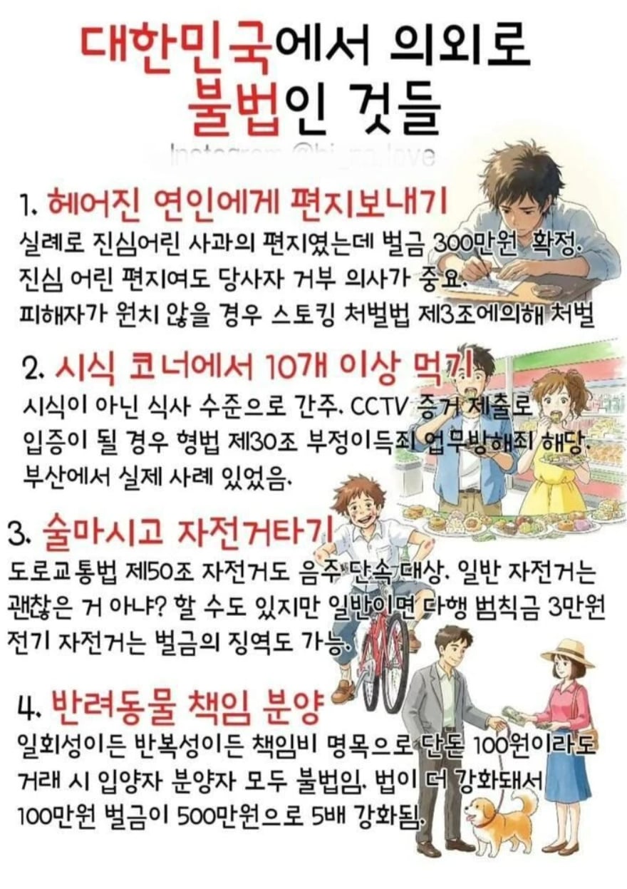 대한민국에서 의외로 불법인 것들 | 인스티즈