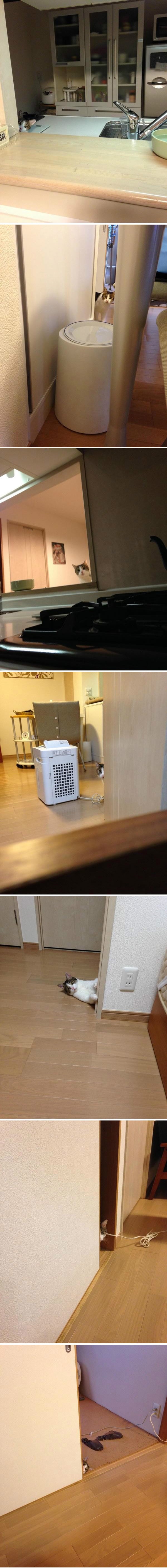 뭘 훔쳐보냥 | 인스티즈