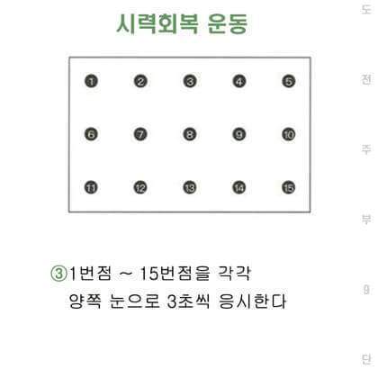 시력 좋아지는 방법 | 인스티즈