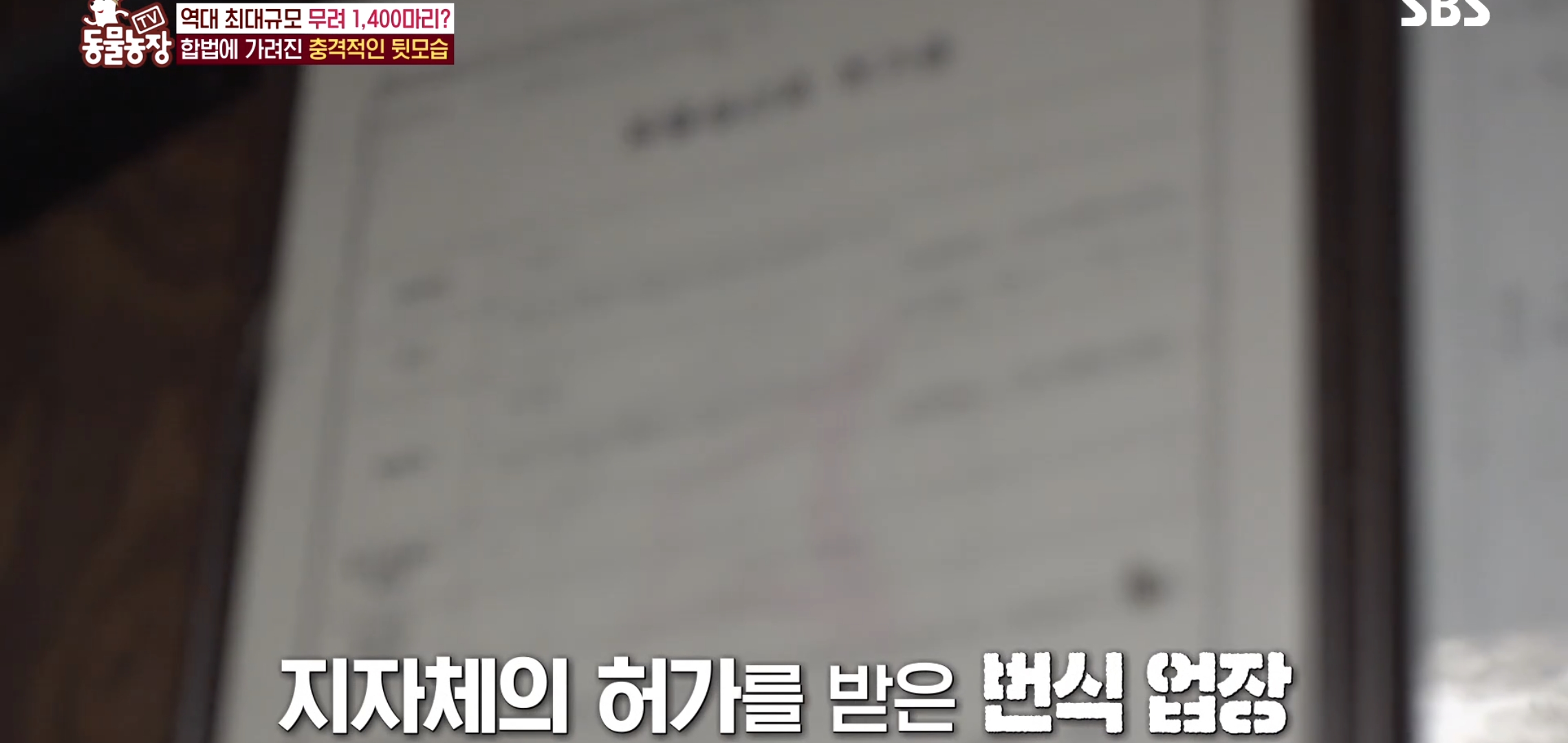 충격이다 못해 기괴한 오늘자 동물농장 폭로 방송 (충격주의).jpg | 인스티즈