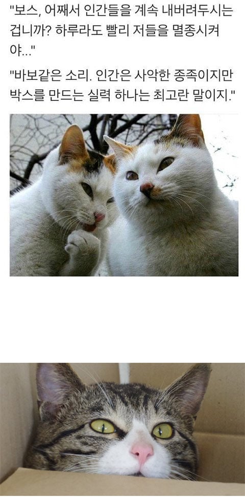 인간이 멸종되지 않은 이유 | 인스티즈