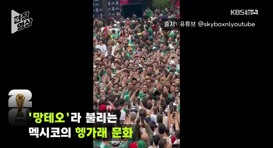 멕시코에서 요즘 무분별하게 한국인 상대로 헹가레를 하는데, 한 한국인 남성 머리부터 떨어져 부상 | 인스티즈