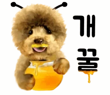 개꿀 빠는 회사인데 세후 200이라면 | 인스티즈