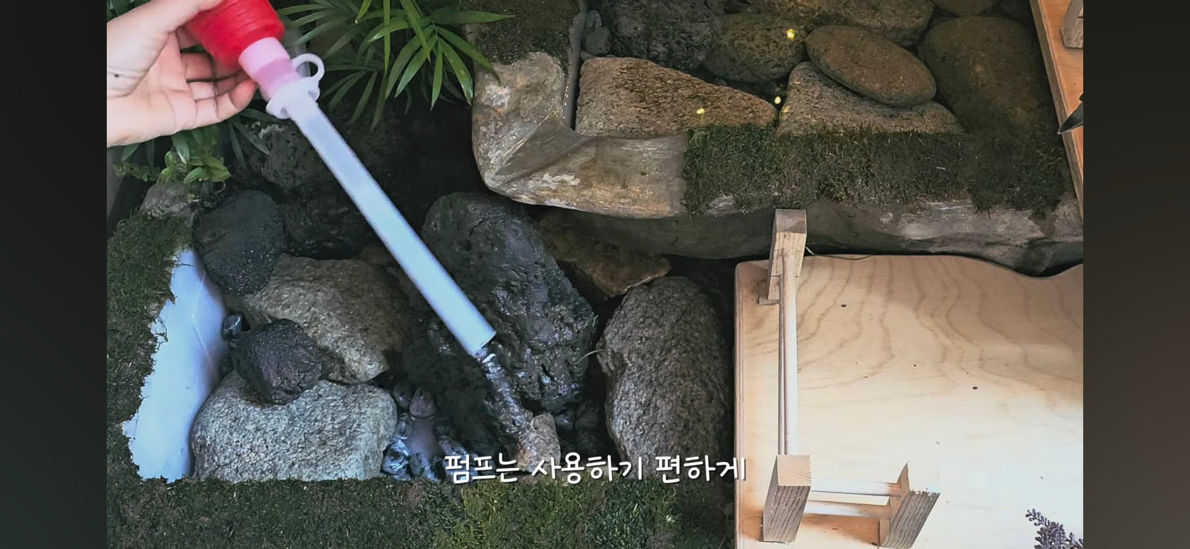 다이소로 만든 연못 정원🌿 관리 (+🐦🦜) | 인스티즈