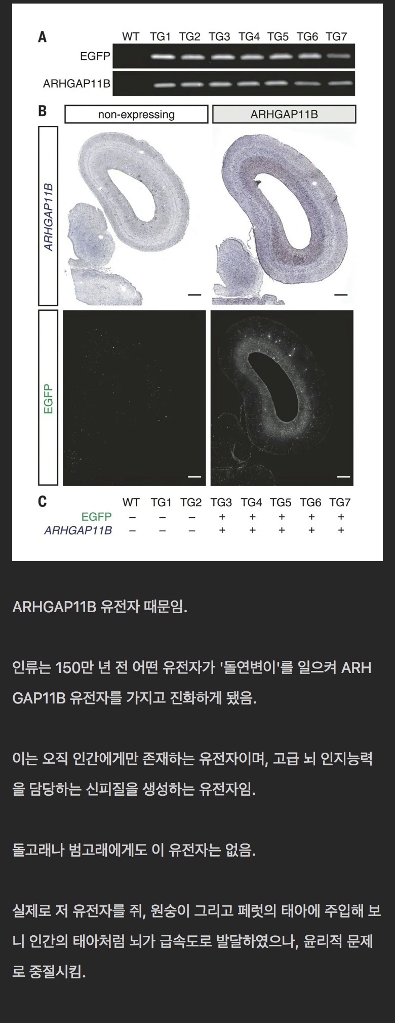지구에 사는 고등 지적 생명체가 인간 밖에 없는 이유 | 인스티즈