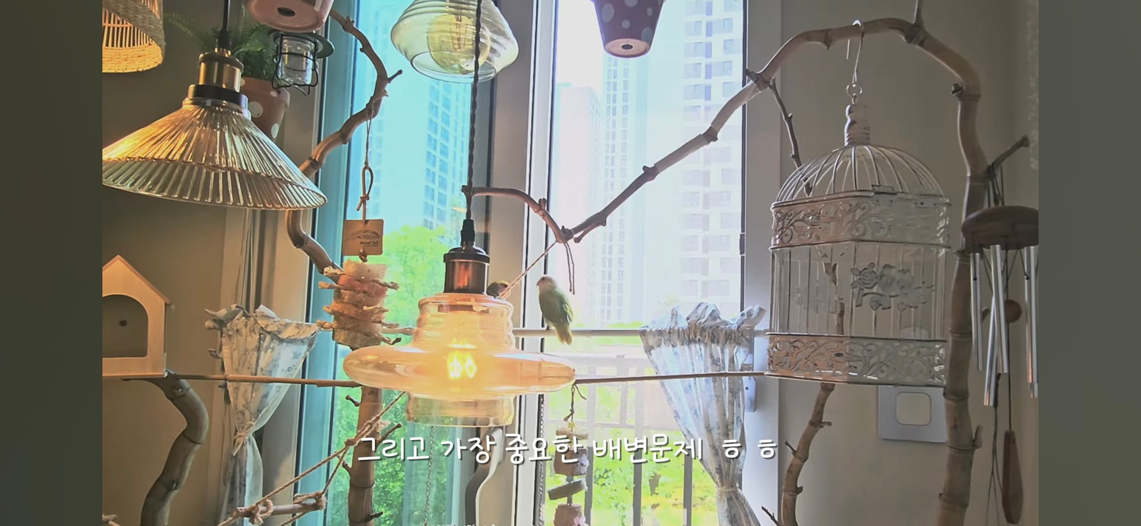 다이소로 만든 연못 정원🌿 관리 (+🐦🦜) | 인스티즈