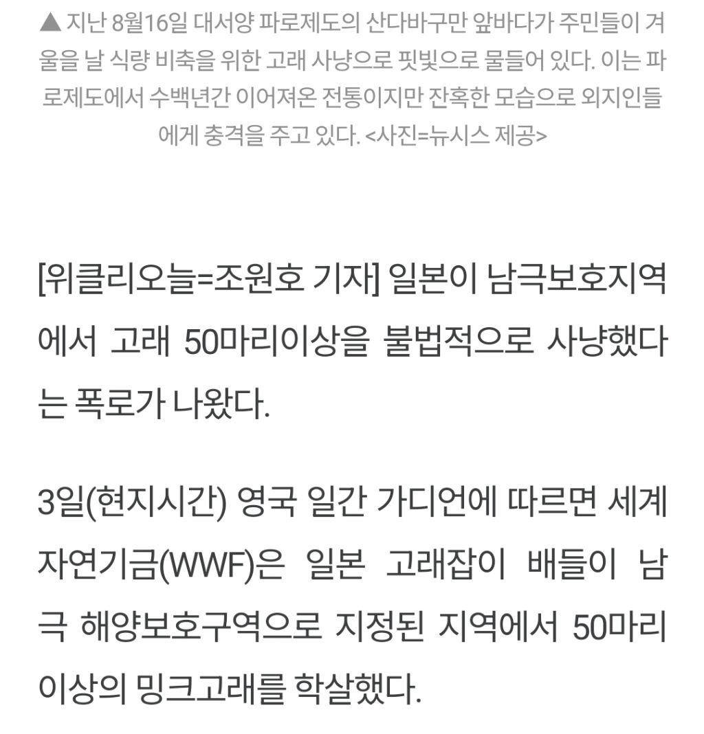 본인 나라의 여성 총리에게 대정부 질문 자리에서 생선 요리 할 줄 아냐고 물어보는 일본 | 인스티즈