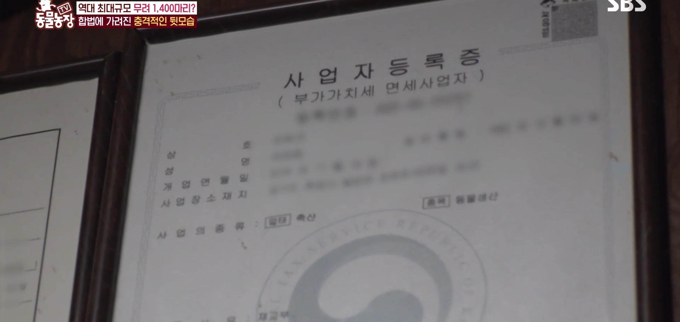 충격이다 못해 기괴한 오늘자 동물농장 폭로 방송 (충격주의).jpg | 인스티즈