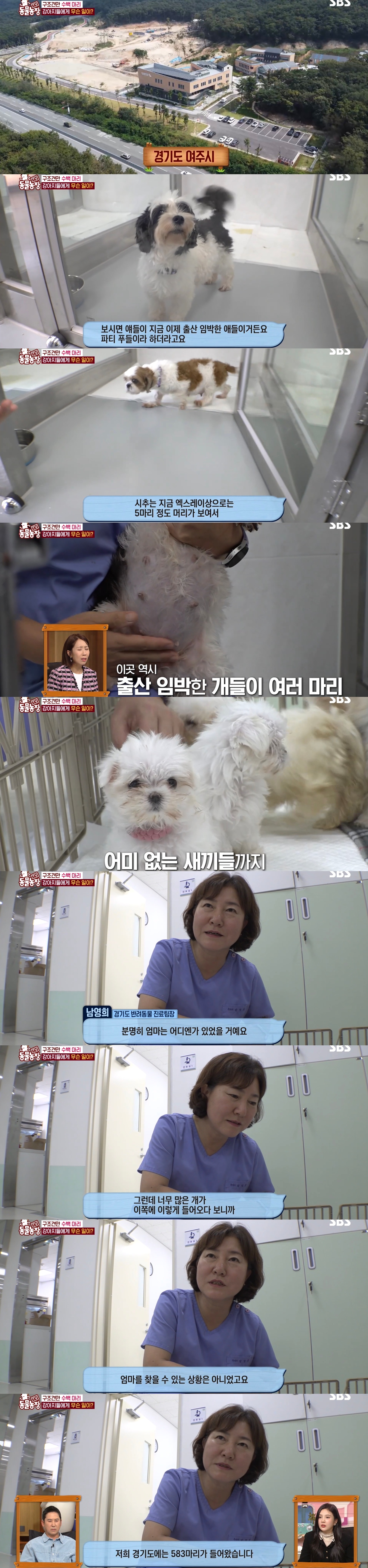 충격이다 못해 기괴한 오늘자 동물농장 폭로 방송 (충격주의).jpg | 인스티즈