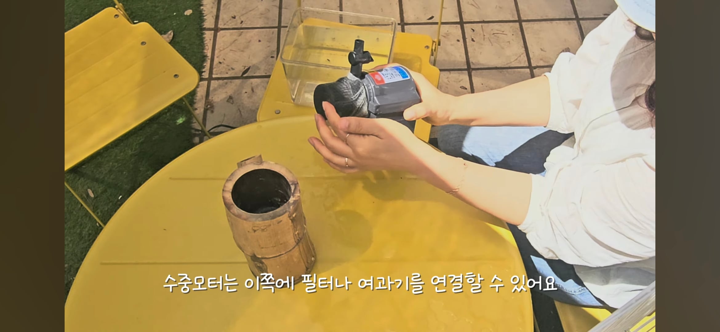 다이소로 만든 연못 정원🌿 관리 (+🐦🦜) | 인스티즈