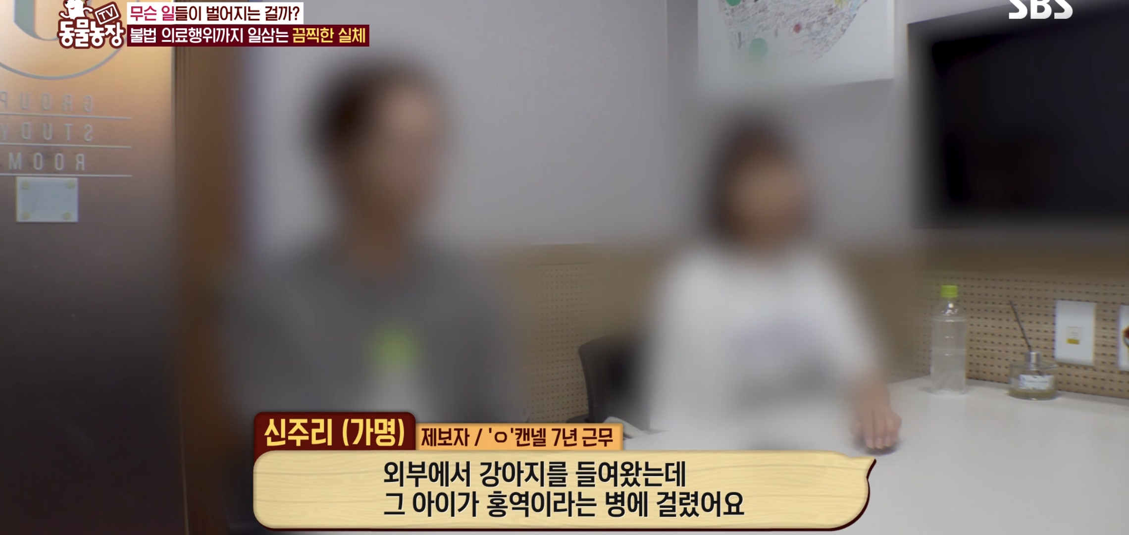 충격이다 못해 기괴한 오늘자 동물농장 폭로 방송 (충격주의).jpg | 인스티즈