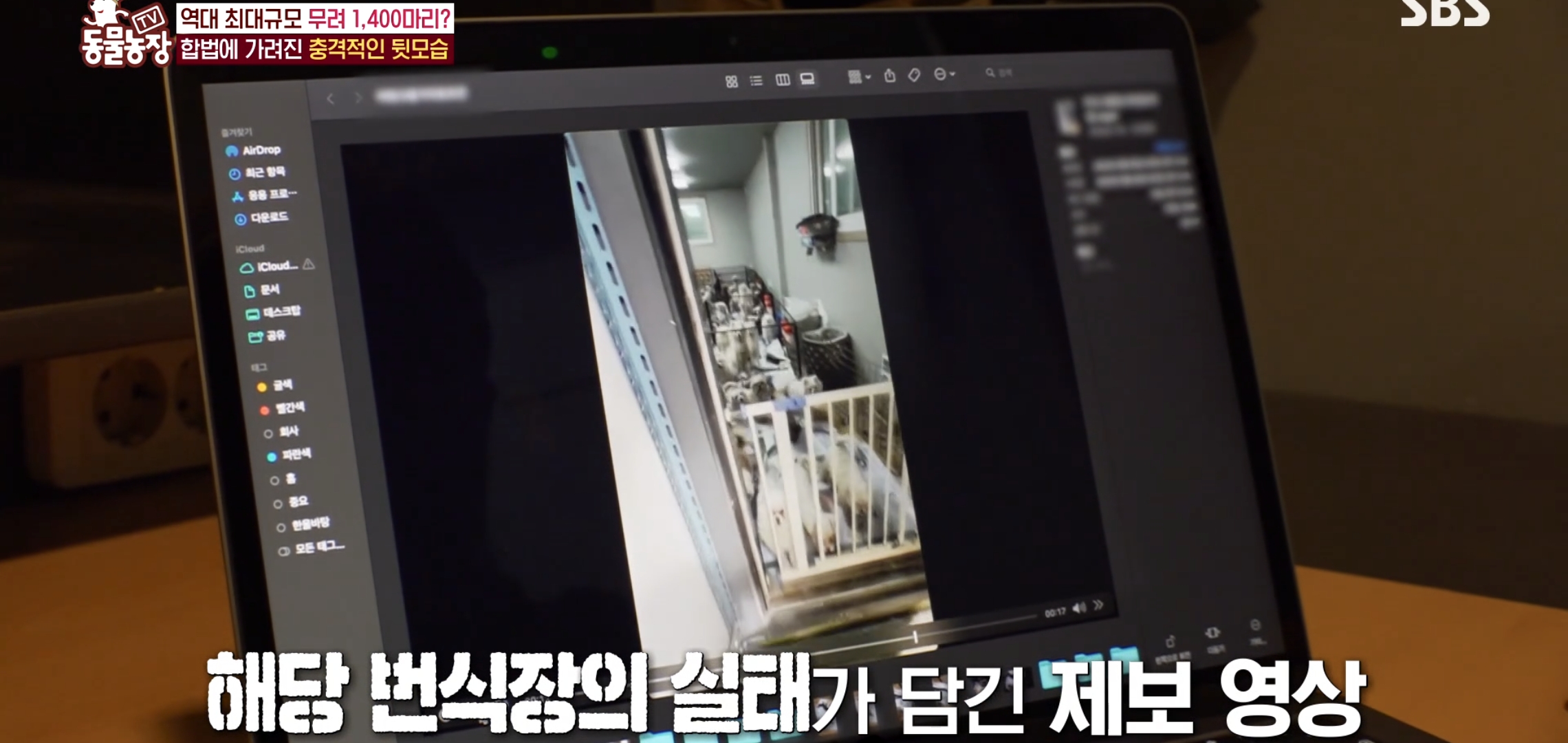 충격이다 못해 기괴한 오늘자 동물농장 폭로 방송 (충격주의).jpg | 인스티즈