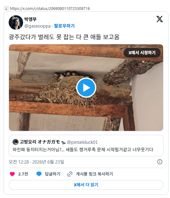 양심없는 쉬었음 제비들 | 인스티즈
