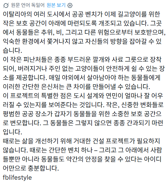 고양이와 공생하는 공공 벤치 | 인스티즈