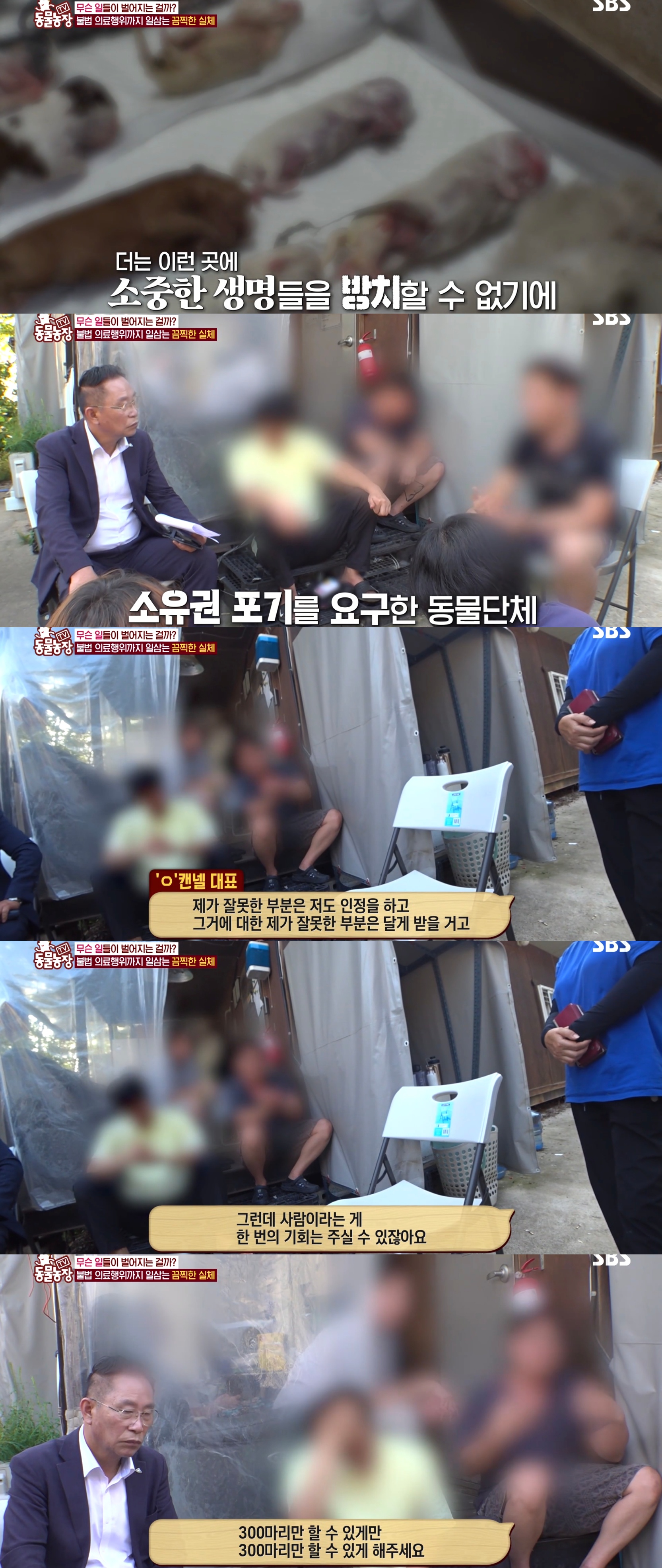 충격이다 못해 기괴한 오늘자 동물농장 폭로 방송 (충격주의).jpg | 인스티즈