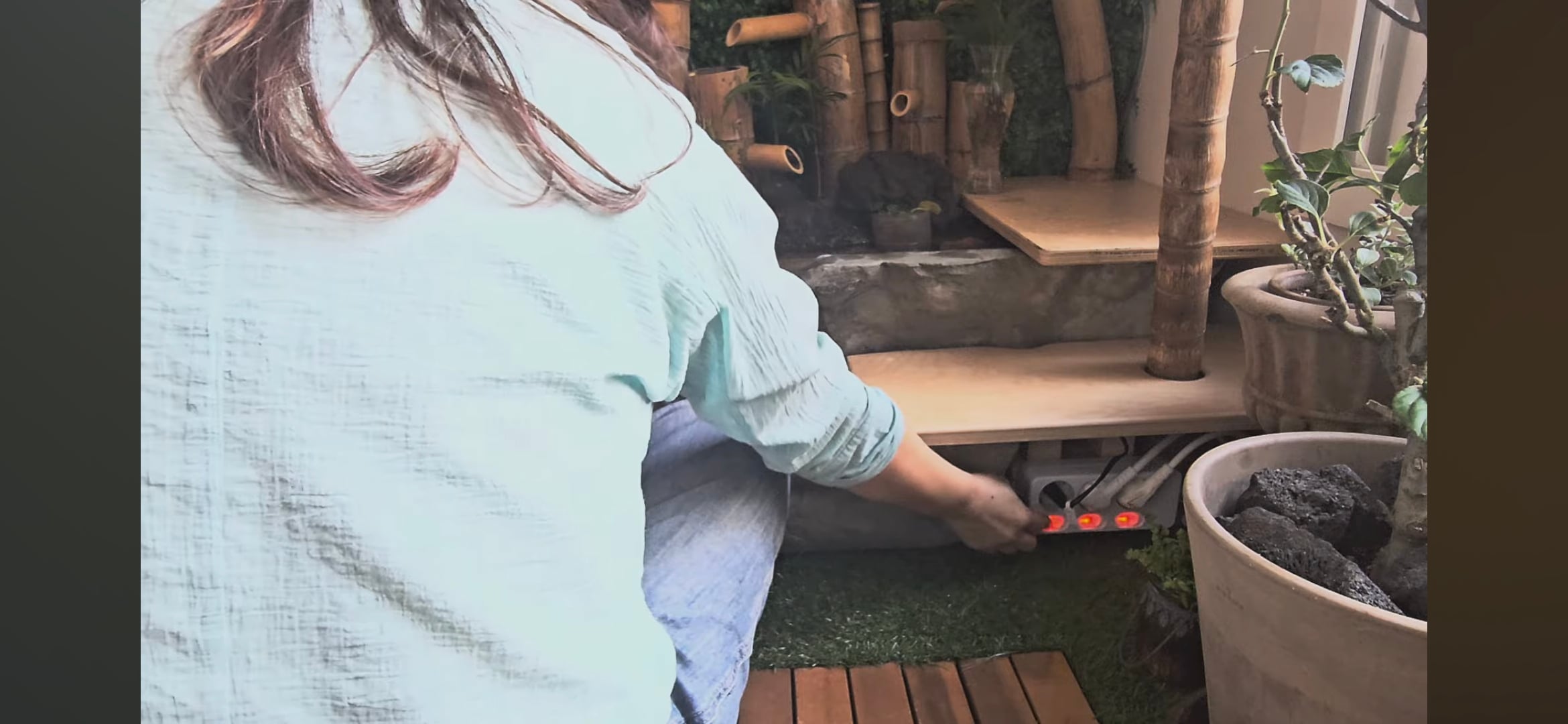 다이소로 만든 연못 정원🌿 관리 (+🐦🦜) | 인스티즈