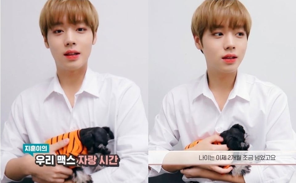 펫샵에 걸려있는 박지훈 싸인 | 인스티즈