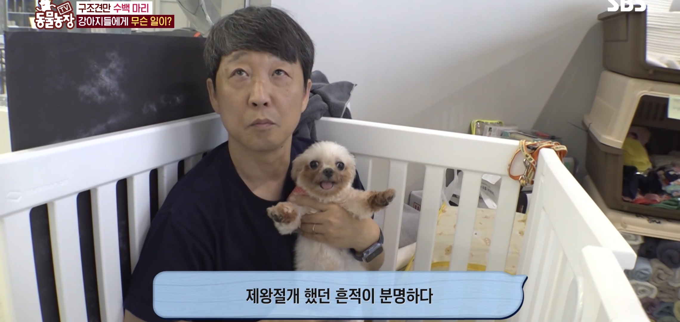 충격이다 못해 기괴한 오늘자 동물농장 폭로 방송 (충격주의).jpg | 인스티즈
