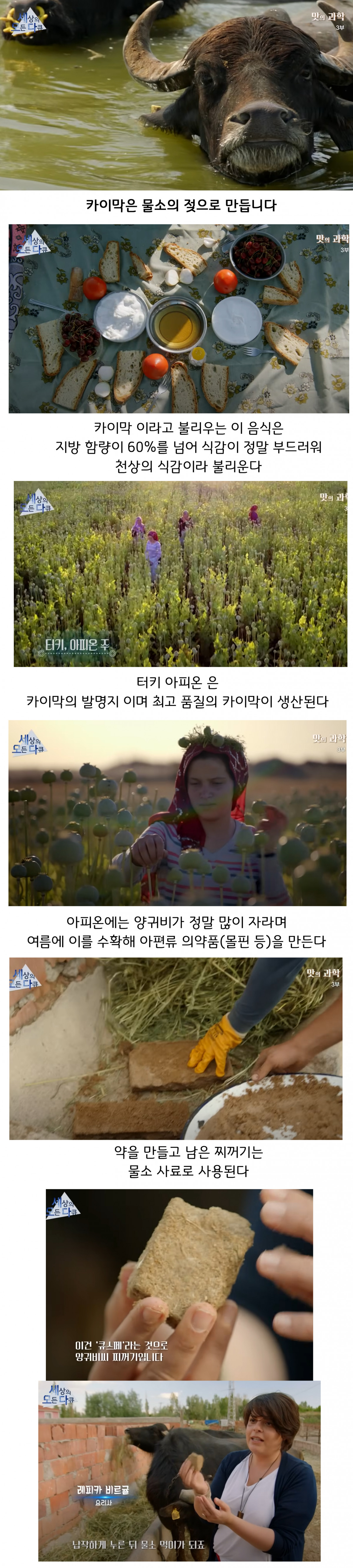 우리나라에선 그 맛이 안 난다는 음식 | 인스티즈