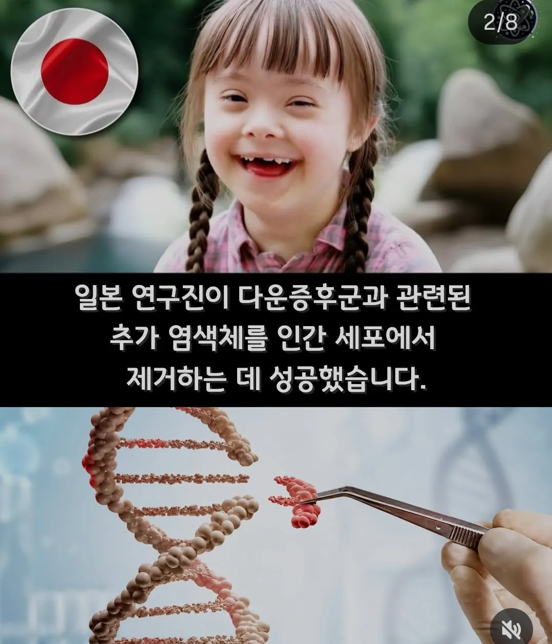 뉴스에는 안 나오는 세계의 희망적인 소식들 | 인스티즈