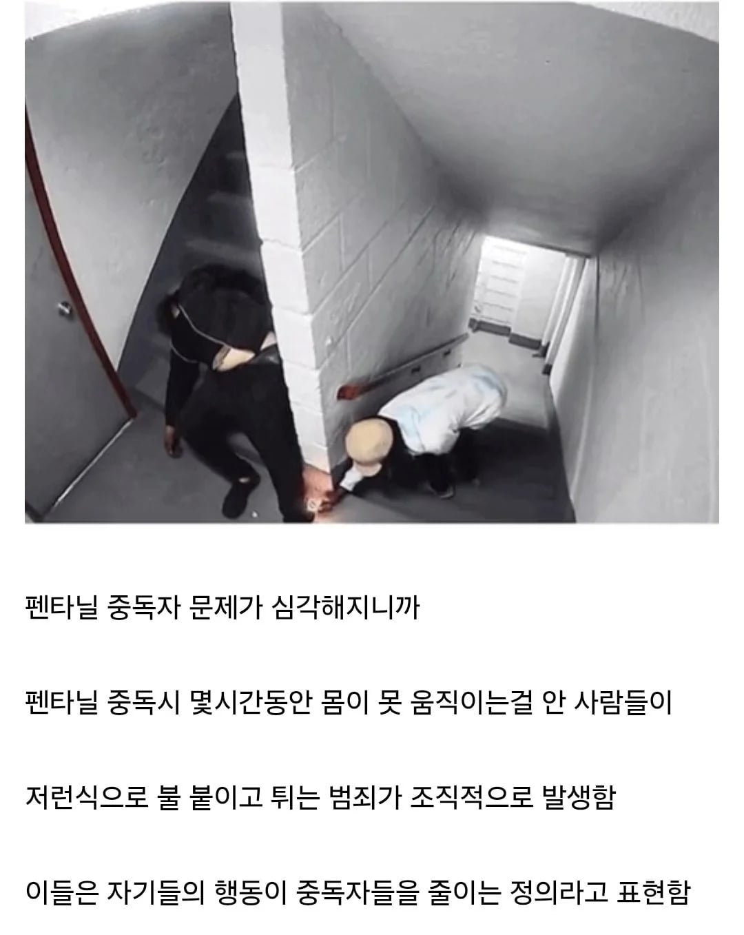 미국에 펜타닐 중독자가 늘어나자 발생하는 범죄 | 인스티즈