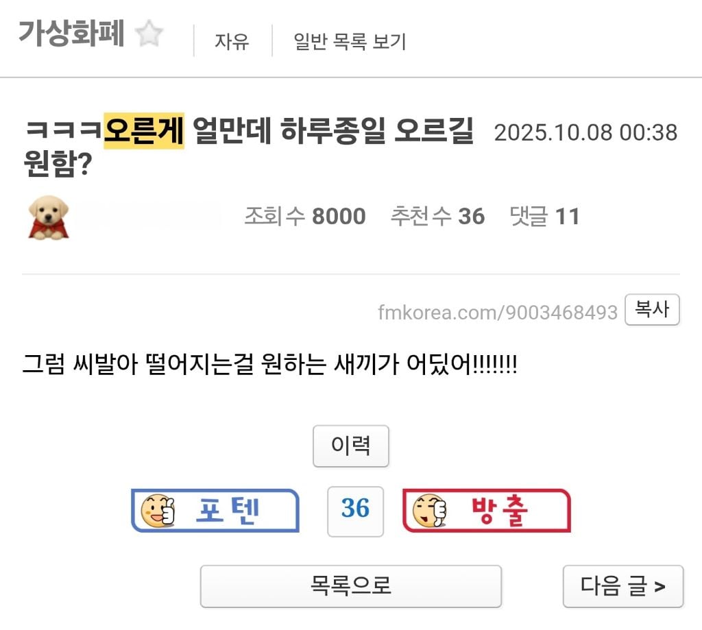 주식 코인 갤러리에서 사용시 폭격 맞는다는 말 | 인스티즈