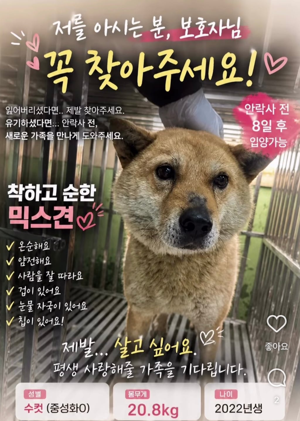 내가 멍줍해온 가나디 봐줘 ··· | 인스티즈