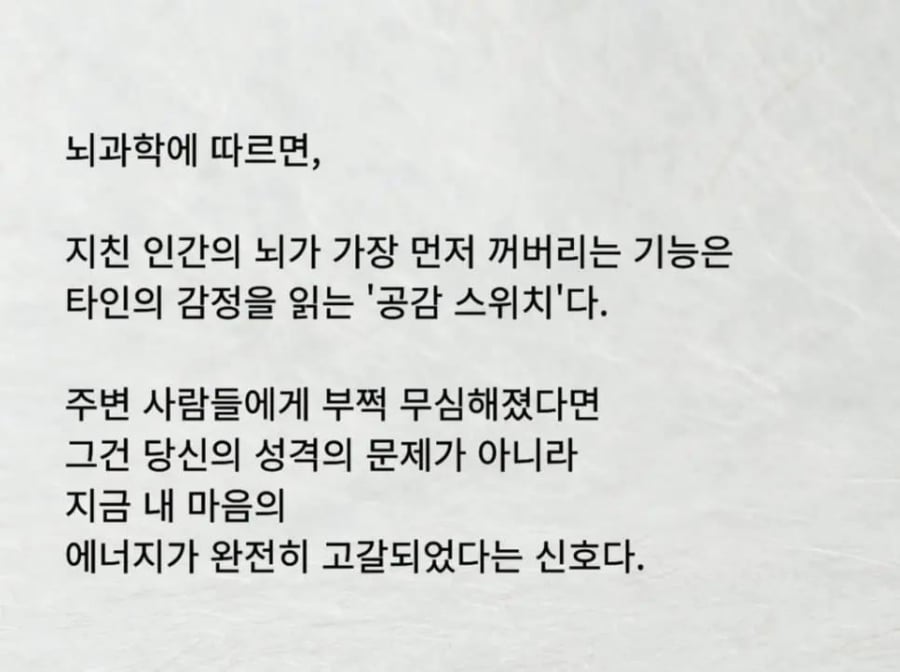 뇌가 지치면 가장 먼저 꺼지는 스위치 | 인스티즈