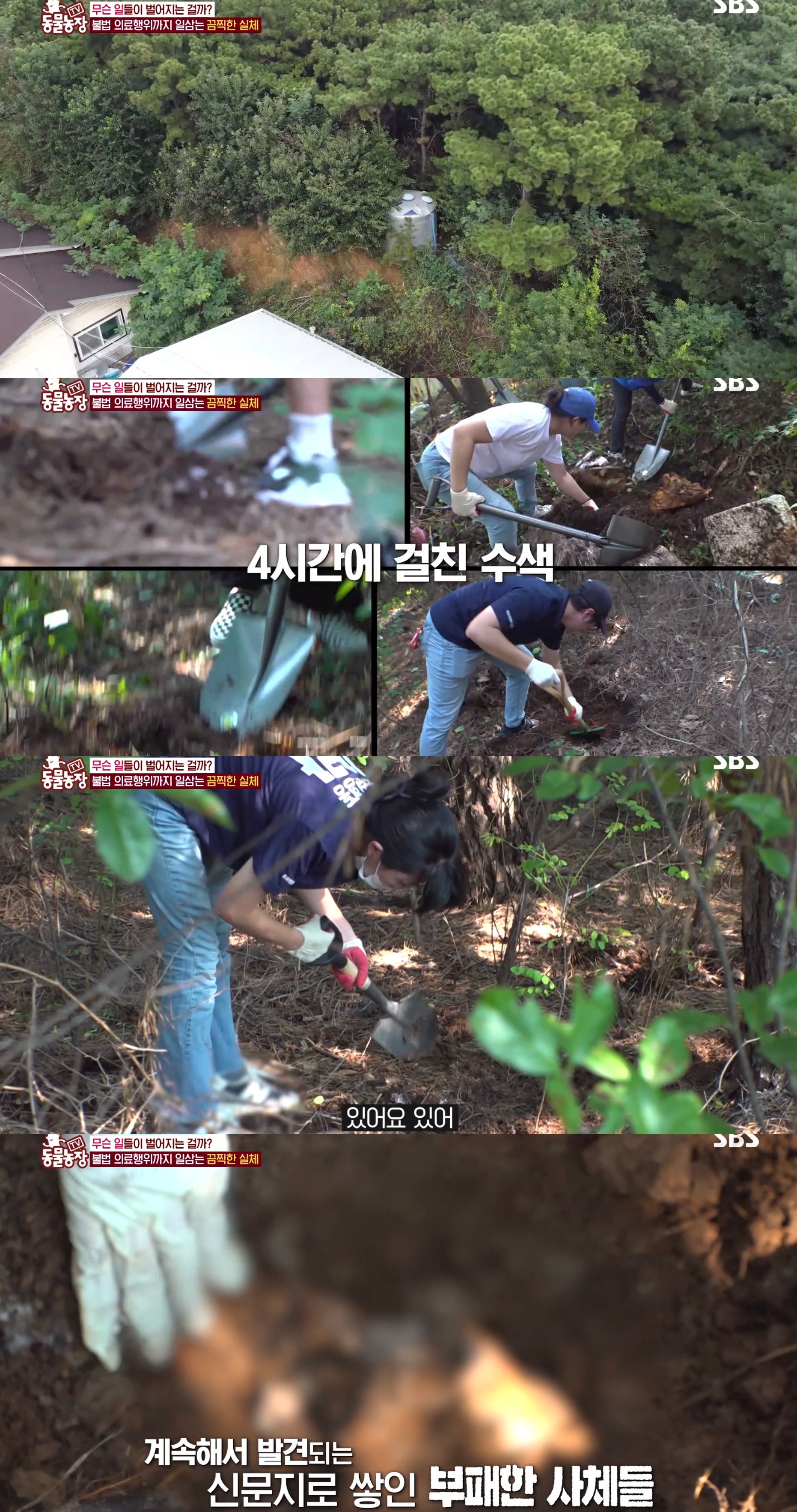충격이다 못해 기괴한 오늘자 동물농장 폭로 방송 (충격주의).jpg | 인스티즈