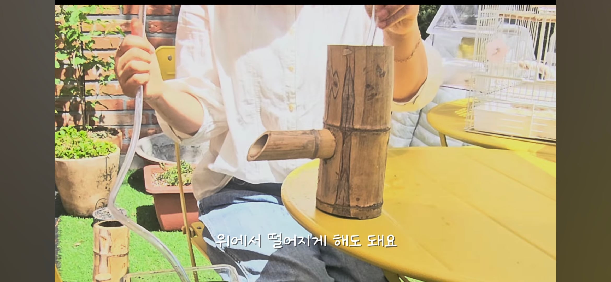 다이소로 만든 연못 정원🌿 관리 (+🐦🦜) | 인스티즈